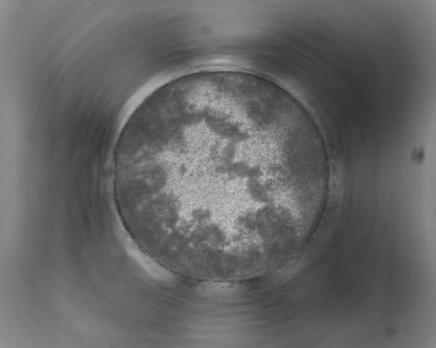 X0000113021474200909171442