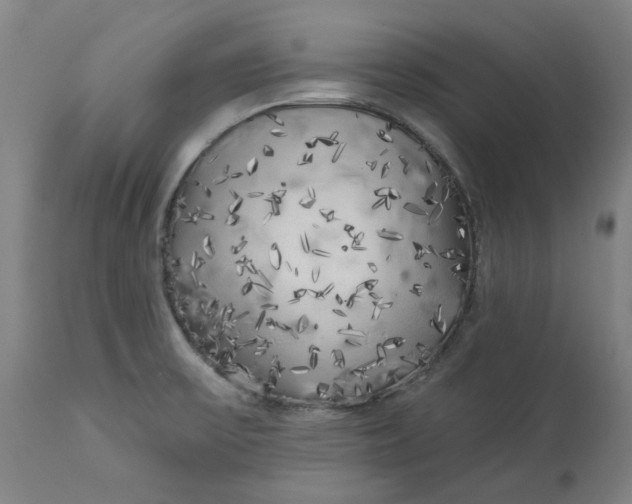 X0000113021475200909171442