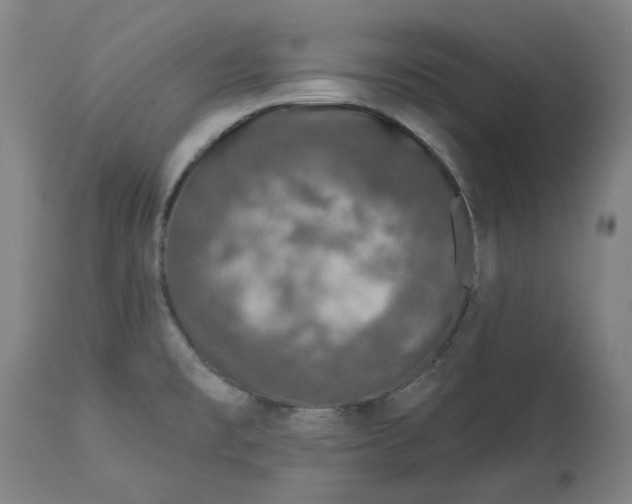 X0000113021477200909171442