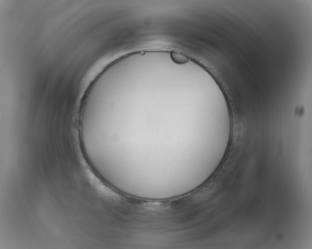 X0000113021478200909171442