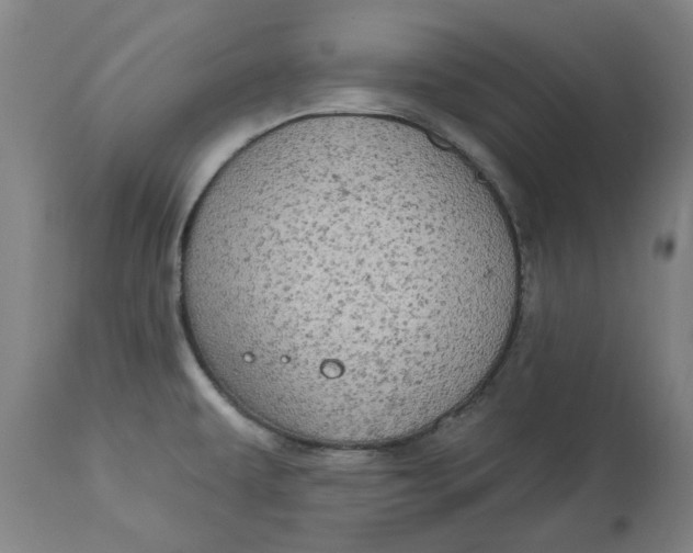 X0000113021479200909171442