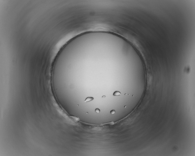 X0000113021480200909171442