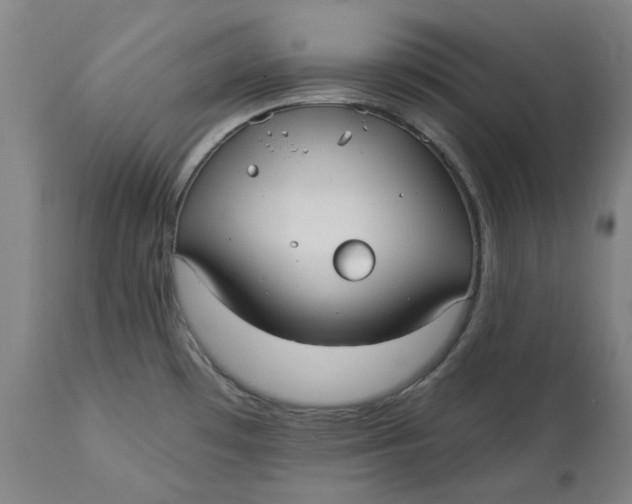 X0000113021481200909171442