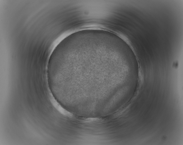 X0000113021482200909171442