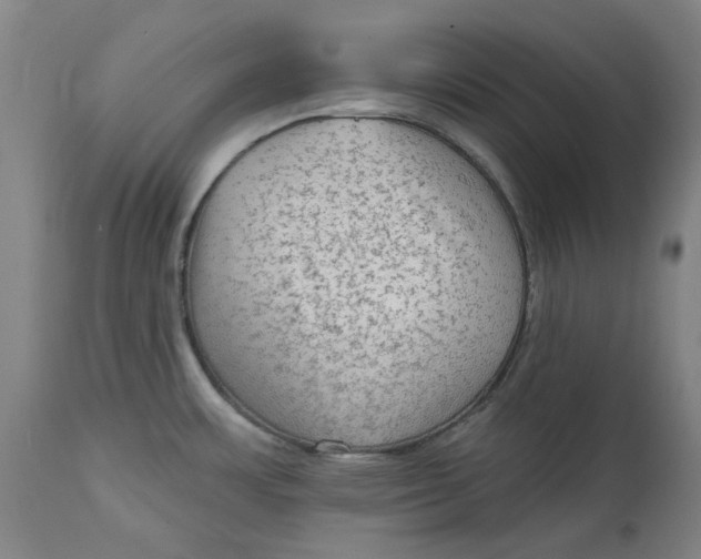 X0000113021483200909171442