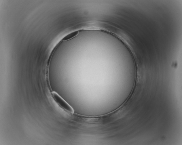 X0000113021484200909171441