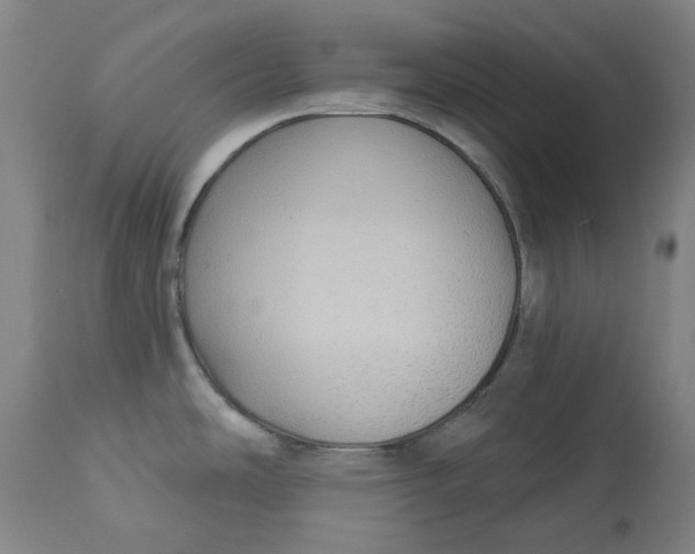 X0000113021486200909171441