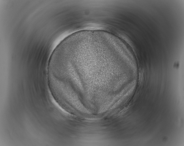 X0000113021487200909171441