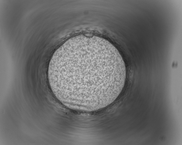 X0000113021489200909171441