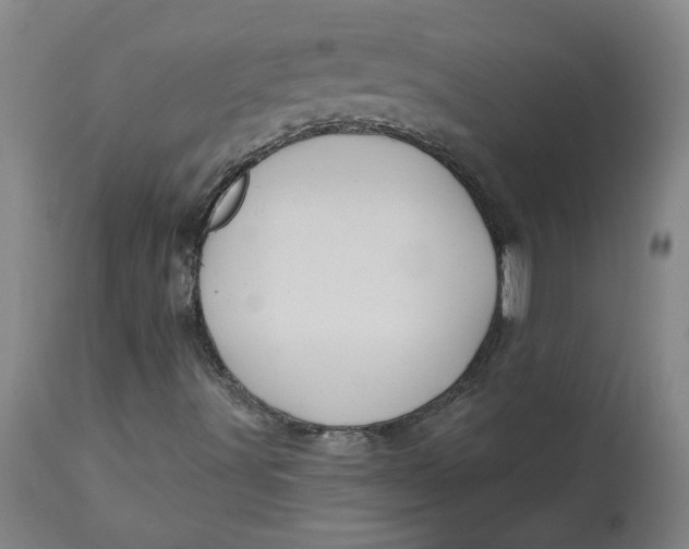 X0000113021491200909171441