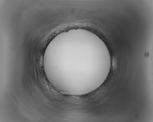 X0000113021492200909171441