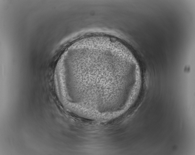 X0000113021494200909171441