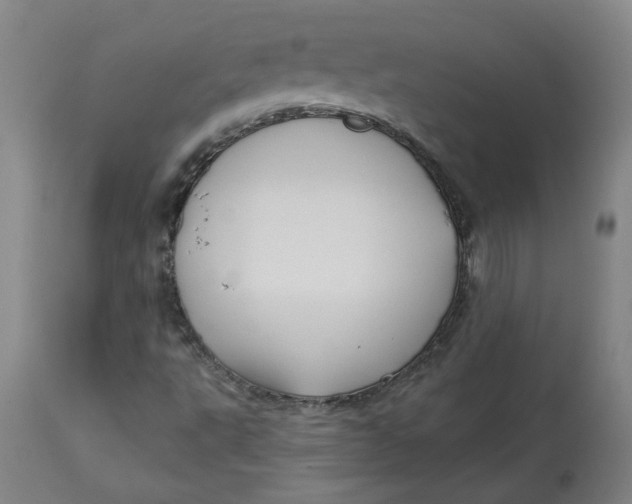 X0000113021495200909171441