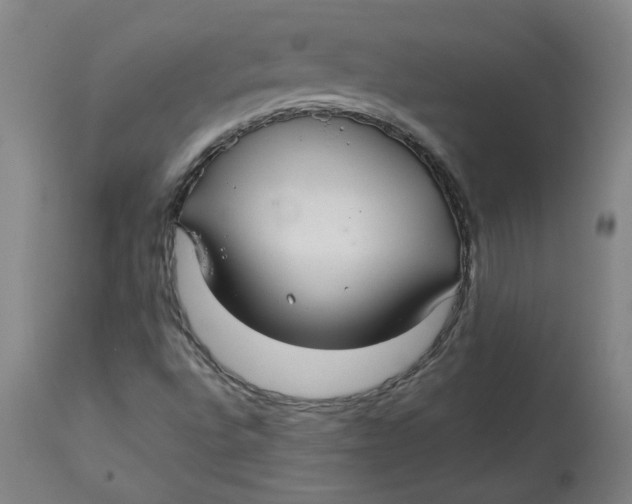 X0000113021496200909171441