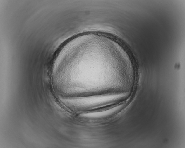 X0000113021497200909171441