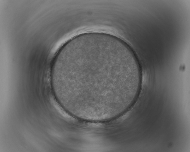 X0000113021498200909171441