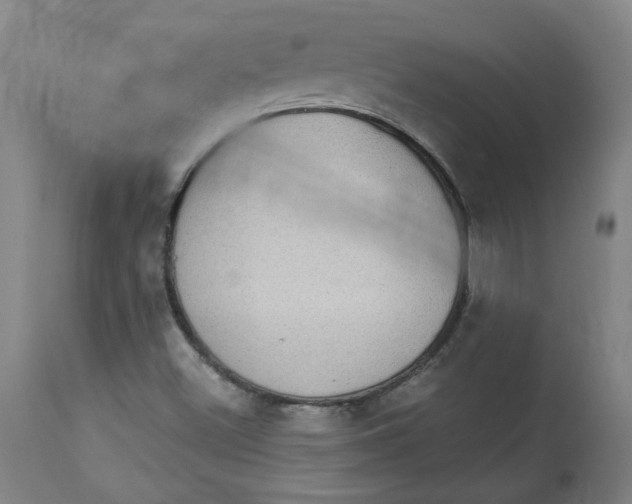 X0000113021500200909171441