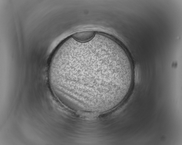 X0000113021501200909171441