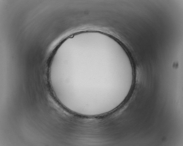 X0000113021502200909171441