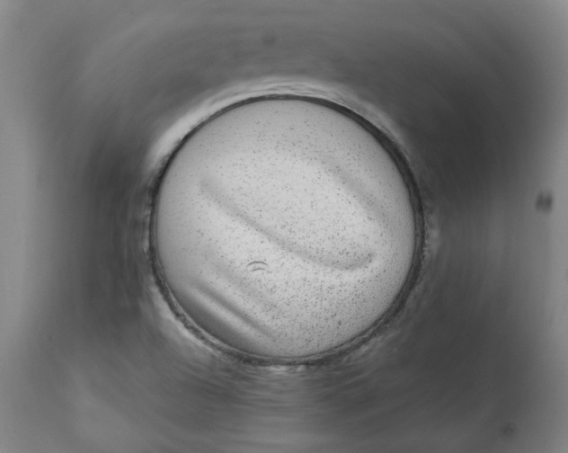 X0000113021504200909171441