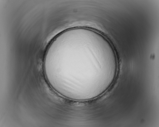 X0000113021505200909171441