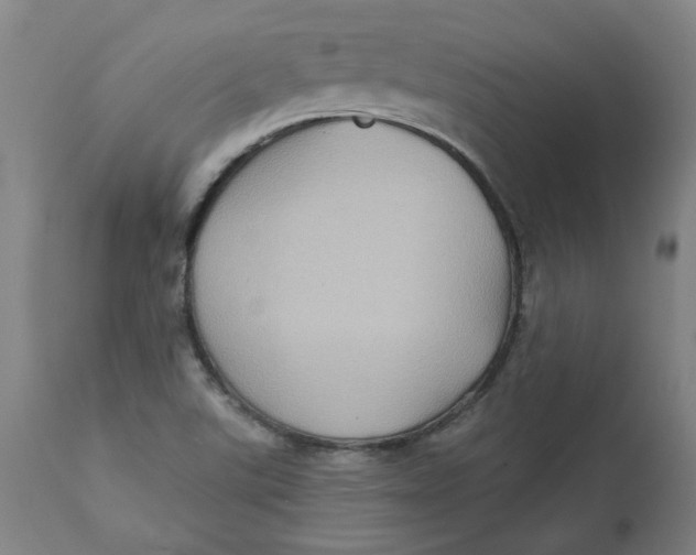 X0000113021507200909171441