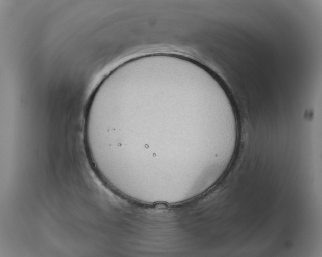 X0000113021508200909171441