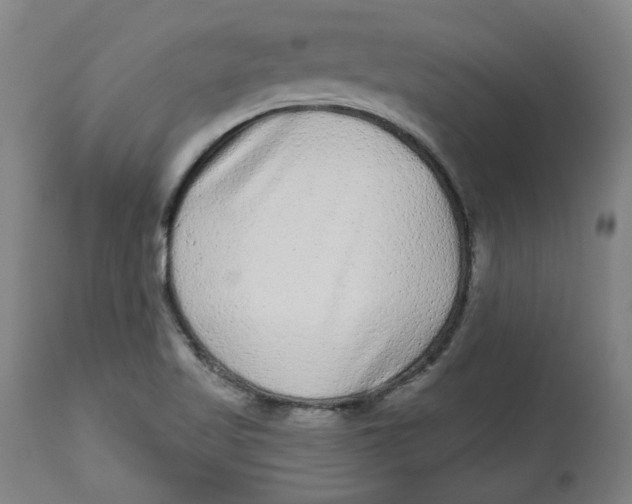 X0000113021509200909171441