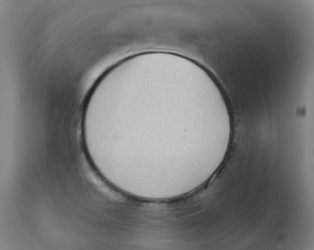 X0000113021511200909171441