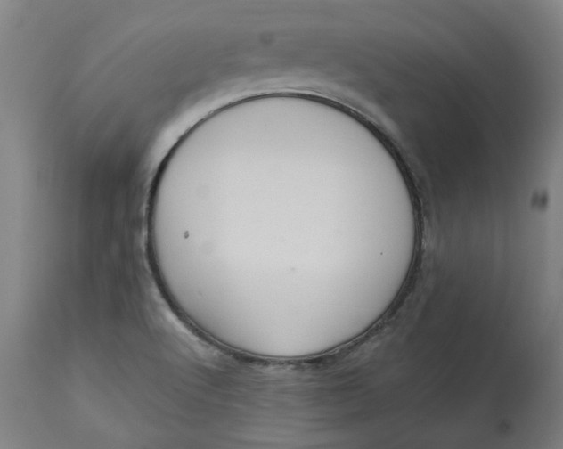 X0000113021512200909171441