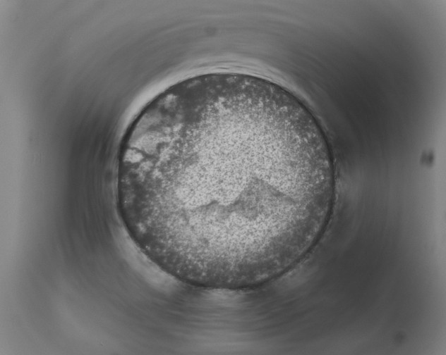 X0000113021514200909171441