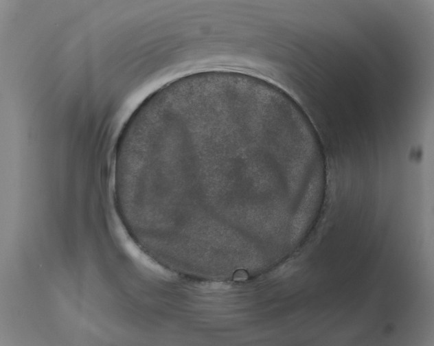 X0000113021515200909171441