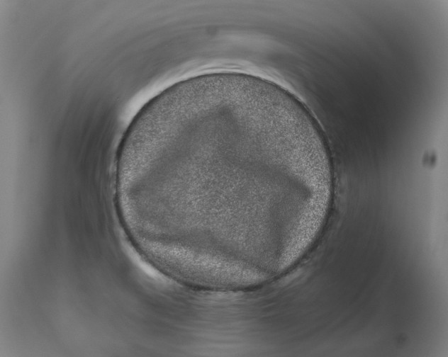 X0000113021519200909171441