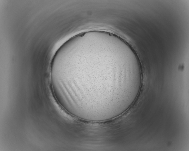 X0000113021520200909171441