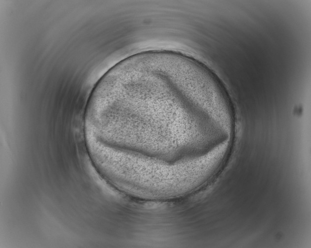 X0000113021521200909171441