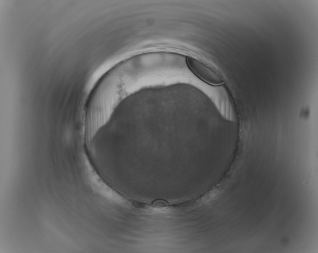 X0000113021522200909171441