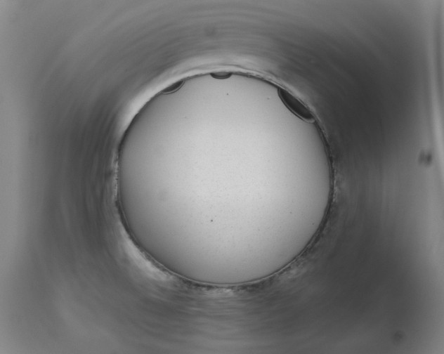 X0000113021524200909171441