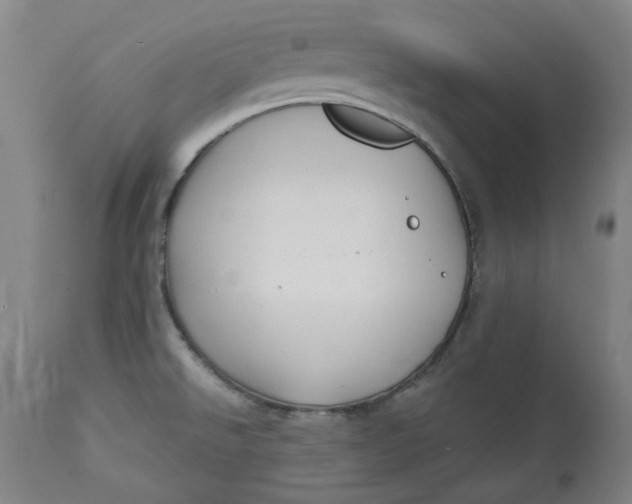 X0000113021526200909171441