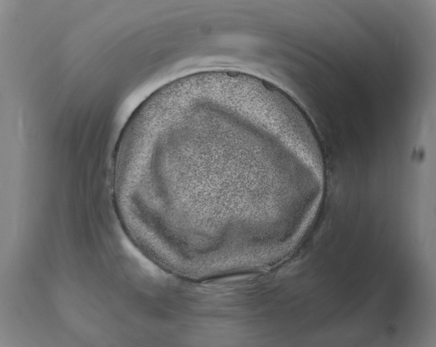 X0000113021527200909171441