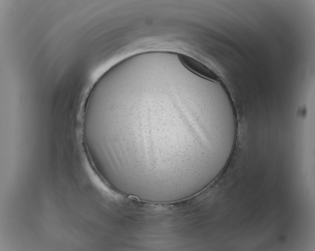 X0000113021528200909171441