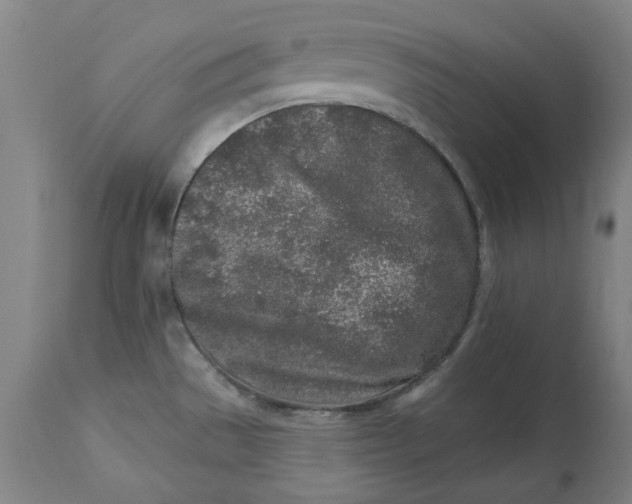 X0000113021529200909171441