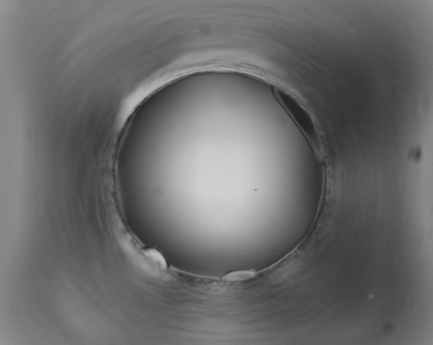 X0000113021530200909171441