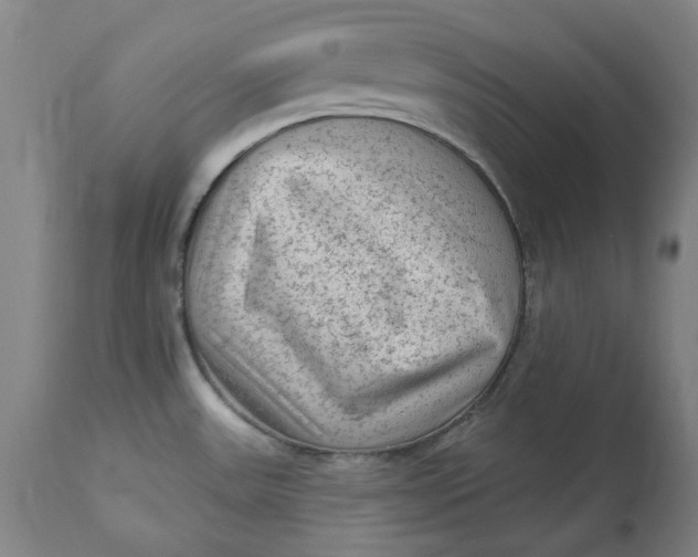 X0000113021531200909171441