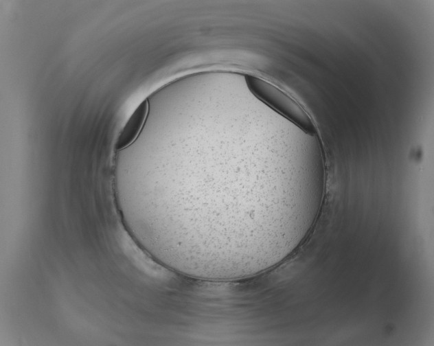 X0000113021532200909171441