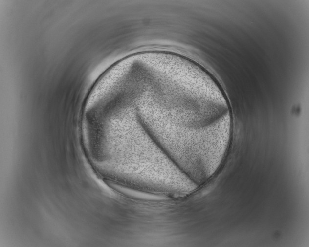 X0000113021533200909171441