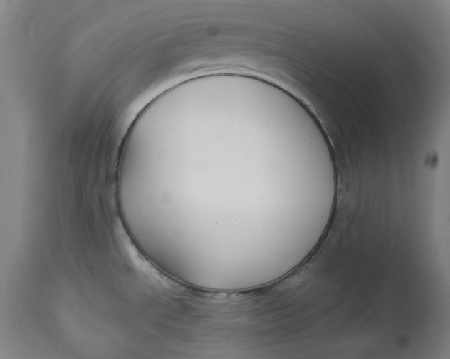 X0000113021534200909171441