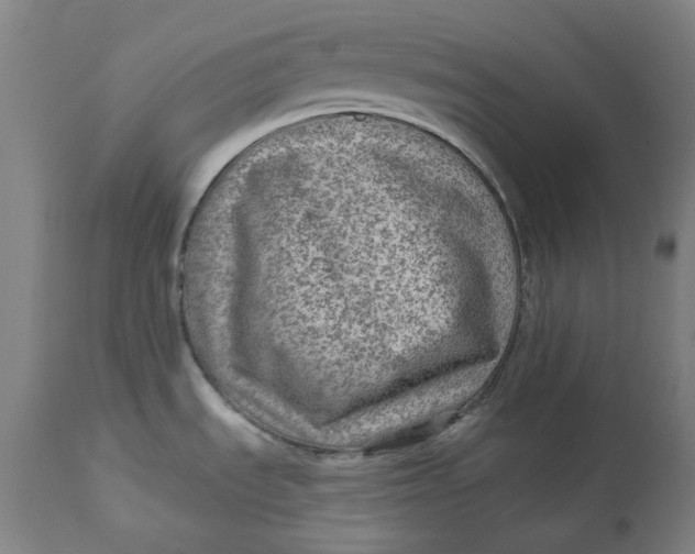 X0000113021535200909171441