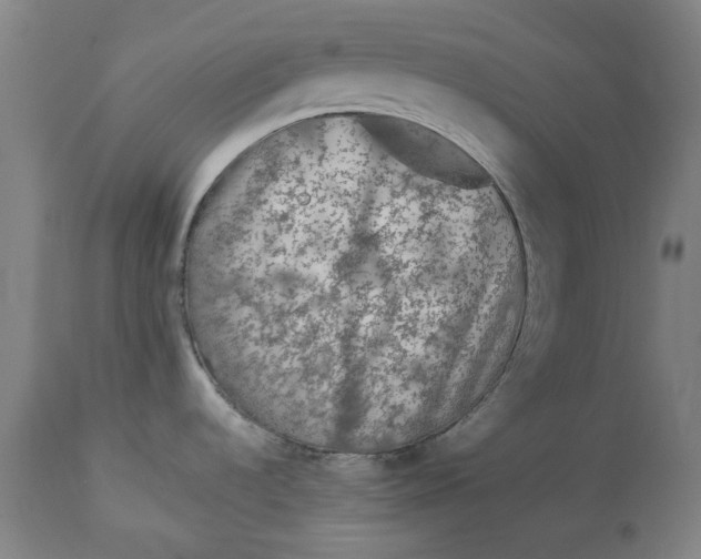 X0000113021536200909171441