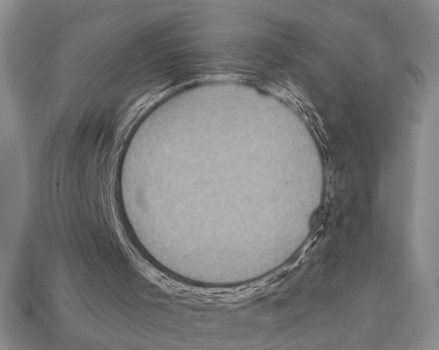 X0000113020001200909241645