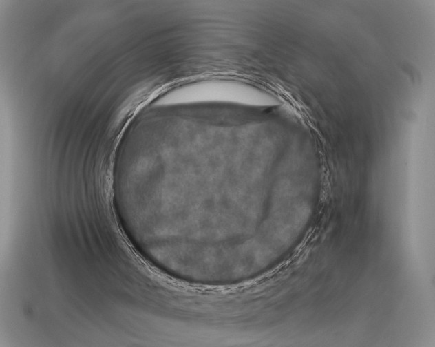 X0000113020002200909241645